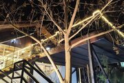 آپارتمان مبله دوخواب شادی در کلاردشت