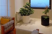 آپارتمان مبله تک خواب در سعادت آباد