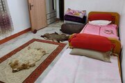 ویلا مبله تکخواب در قائمشهر
