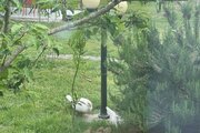 کلبه چوبی دوخواب آرامش در شاندرمن ماسال