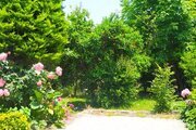 واحد دوخواب کاج در ویلای رامسر