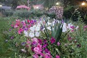 باغ ویلا استخردار تکخواب زاینده رود در سامان