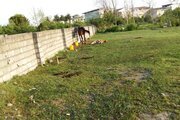 واحد دوخواب در طبقه همکف ویلا هستی رامسر