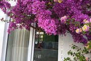 واحد تکخواب مبله در طبقه همکف ویلا نوشهر