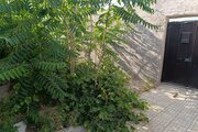 ویلا دوخواب رز سفید در بسطام سمنان