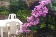 ویلا دوبلکس سه خواب ساحلی صدف در نوشهر