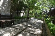 ویلا تریپلکس استخردار شش خواب عمارت رویایی در کلار آباد