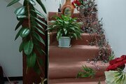 آپارتمان تکخواب مبله در مهاباد