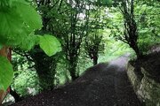 ویلای جنگلی میاه سر