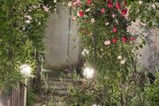 ویلا دوبلکس تکخواب مبله در بهشهر