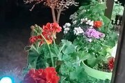 ویلا 2 خواب در ماسال