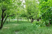 ویلا تکخواب استخردار نیلوفر آبی در شیراز