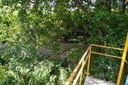 کلبه درختی 20 متری در نور