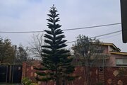 خانه ویلایی تک خواب در رضوانشهر