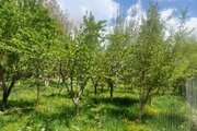 آپارتمان تکخواب در کوهرنگ