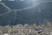 ویلای تکخواب مبله جنگلی در تالش