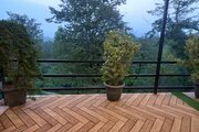 ویلا تک خواب مبله جنگلی سانی در بابل