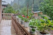 واحد در طبقه دوم ویلای لب رودخونه دردل جنگل اسالم