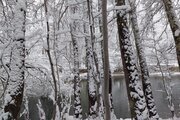 باغ ویلا تکخواب در باغ بهادران
