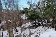 ویلا دوبلکس دوخواب سنتی در فومن