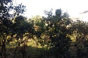 واحد دوخواب در طبقه همکف ویلا هستی رامسر