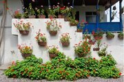 باغ ویلا استخردار سنتی دو خواب در لاهیجان
