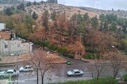 آپارتمان مبله سه خواب ارم 4 در شیراز