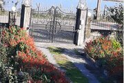 سوئیت 40 متری مبله درباغ ویلا در رضوانشهر