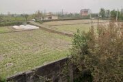 ویلای سه خواب احمدرضا در رشت