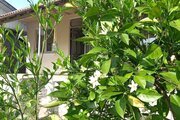 ویلا مبله دوخواب گیلاکو شمال در رشت