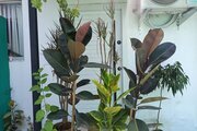 خانه ویلایی ساحلی تک خواب یکتا در بندر انزلی