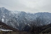 کلبه درختی مبله در سوادکوه