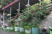 سوئیت کلبه برفی در دربندسر