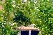 واحد دوخواب نوساز جاده دریا در طبقه همکف ویلای ساری