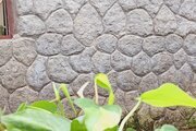 ویلا تکخواب سنتی جنگلی در رودبار