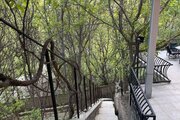 باغ ویلا دو خواب سارینا در کردان