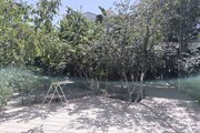 ویلا دوبلکس استخردار دوخواب شارستان در چهارباغ