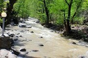 کلبه سوئیسی دوبلکس دوخواب در اسالم