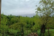کلبه مبله تکخواب جنگلی ویشار در سوادکوه