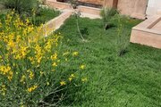 ویلا دو خواب استخردار نایب در مشهد