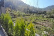 کلبه سوئیسی تکخواب جنگل لفور2 در شیرگاه