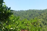 ویلا مبله دوخواب در ماسال