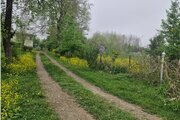 کلبه سوئیسی تک خواب بمانی در رضوانشهر