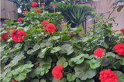 واحد دو خواب برگل 2 در طبقه اول ویلا رامسر