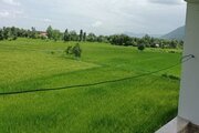 ویلا جنگلی صابر در ماسال