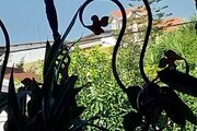 واحد در طبقه همکف ویلای مروارید محمودآباد