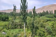 آپارتمان مبله دوخواب ماهور 2 در سامان