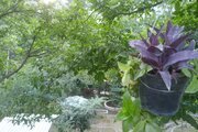 آپارتمان مبله تکخواب 2 در سوادکوه