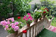 کلبه سوئیسی تکخواب جکوزی دار آیهان در ماسال | حیاط کلبه 