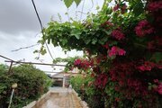 ویلا مبله استخردار دو خواب در دزفول